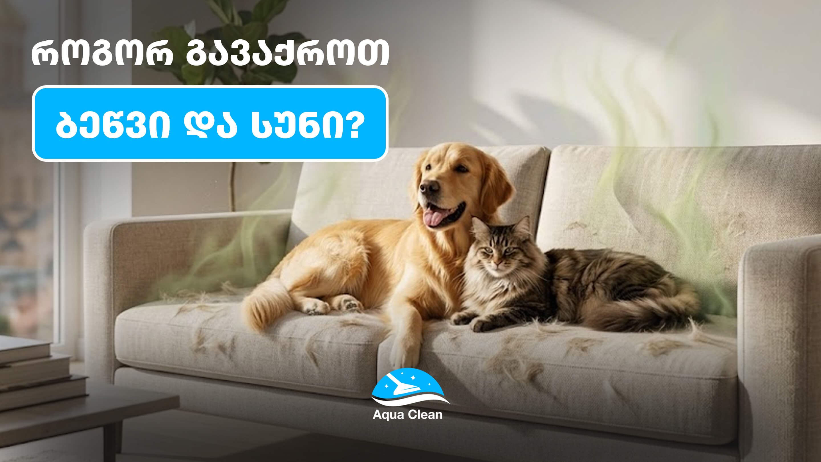 შინაური ცხოველები და რბილი ავეჯი